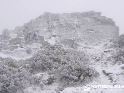 Hayedo de Pedrosa - Parque Natural Sierra Norte de Guadalajara - Hayedo de Tejera Negra